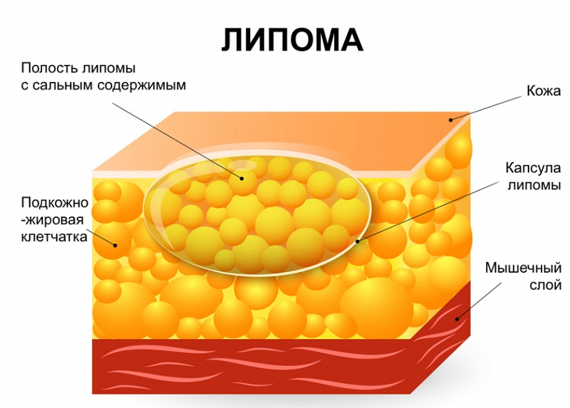 челюстно-лицевая хирургия